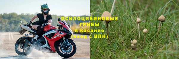 ГАЛЛЮЦИНОГЕННЫЕ ГРИБЫ Богородицк